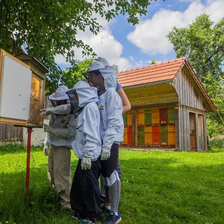 Beekeeping Kojek Apartment Ribnica Exterior photo