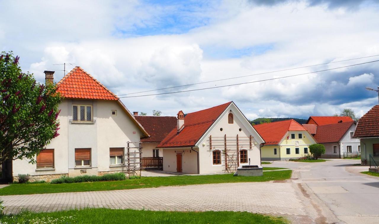Beekeeping Kojek Apartment Ribnica Exterior photo